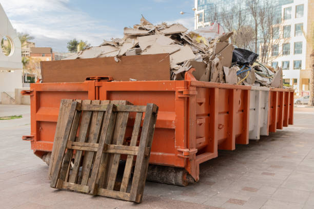 Best Shed Removal  in USA